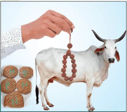देशी गाय का महत्व