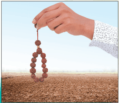 कृषि भूमि की ऊर्जा