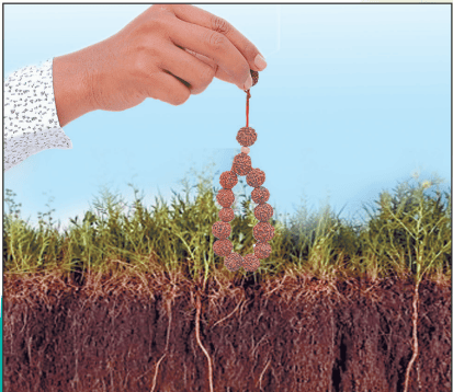 भूमि का PH स्तर