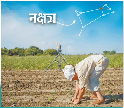 बीज बोवाई