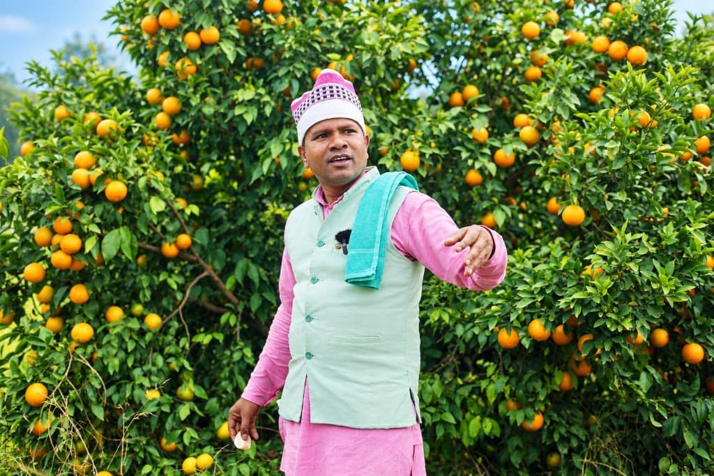 Panch Mahabhut Nature