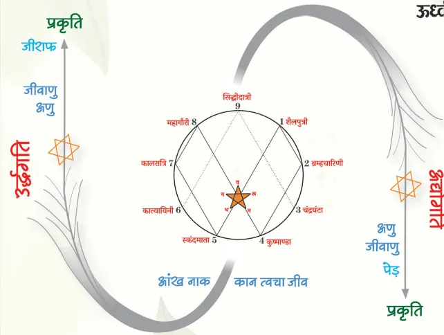 ऊर्जा की गति चित्र 1