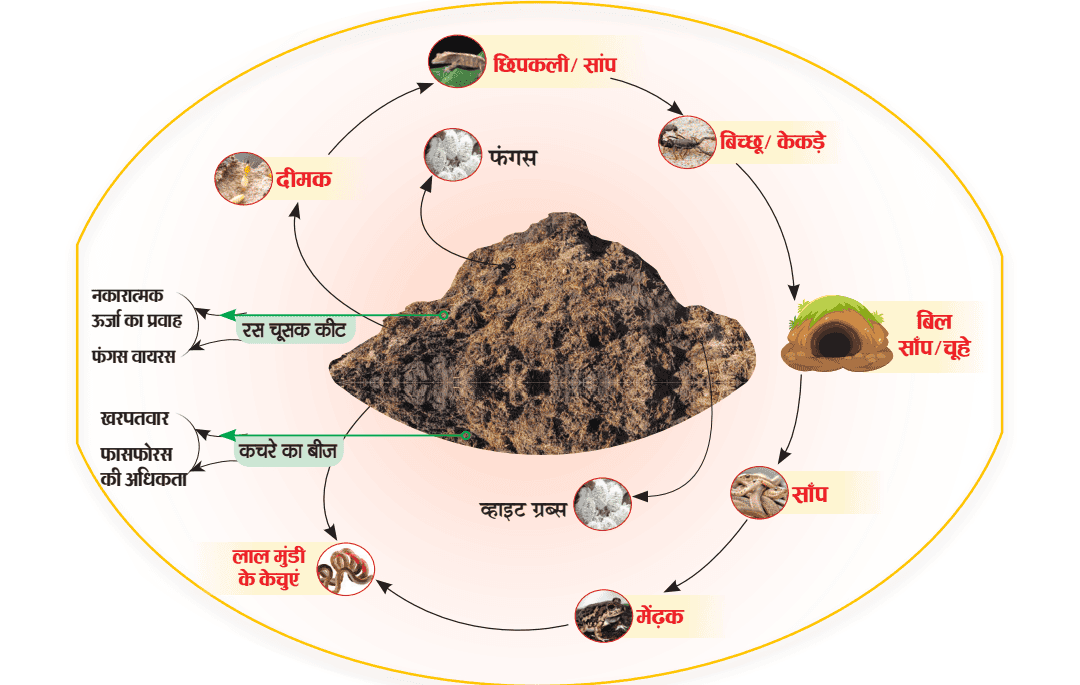 TCBT पुस्तक - ऊर्जा विज्ञान