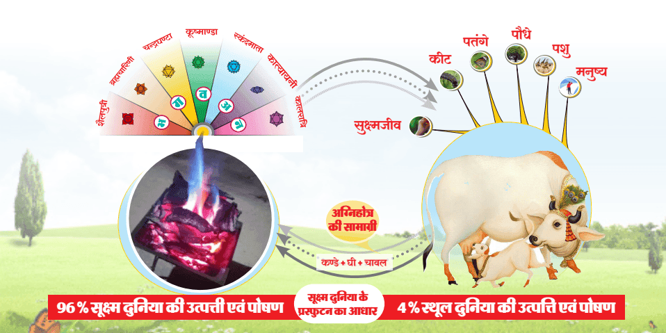 सूक्ष्म दुनिया