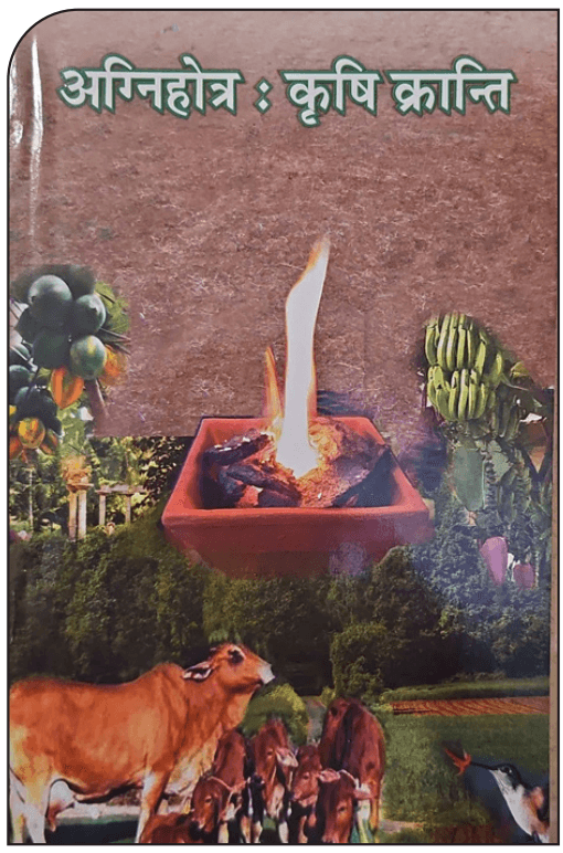 मिट्टी गुणवत्ता 3