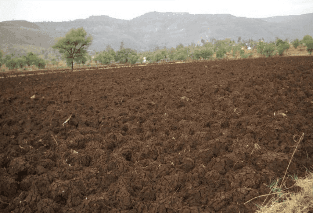 क्षारीय भूमि
