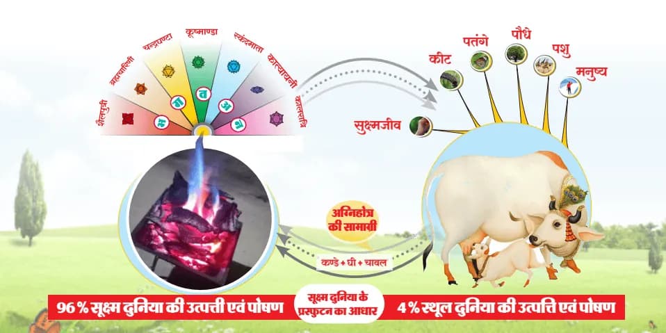 सूक्ष्म दुनिया