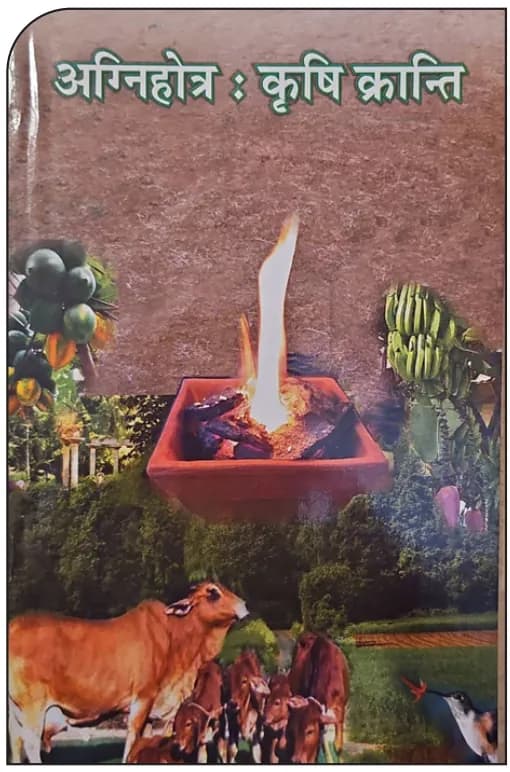 मिट्टी गुणवत्ता 3