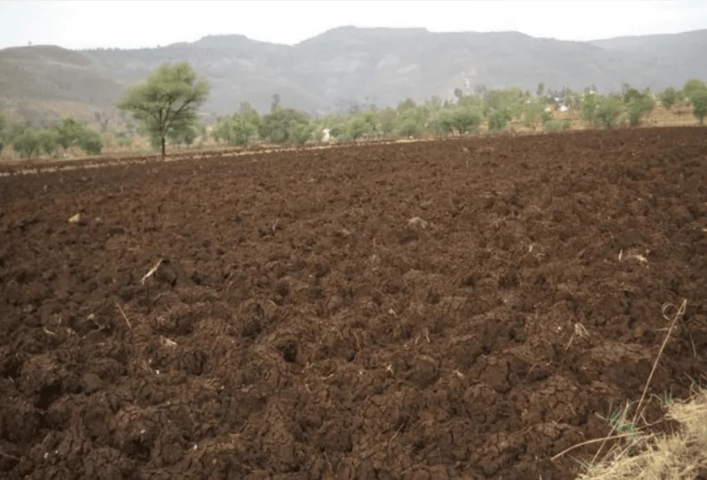 क्षारीय भूमि