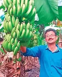 केमिकल से कठोर हो चुकी खेती अब मक्खन जैसी मुलायम