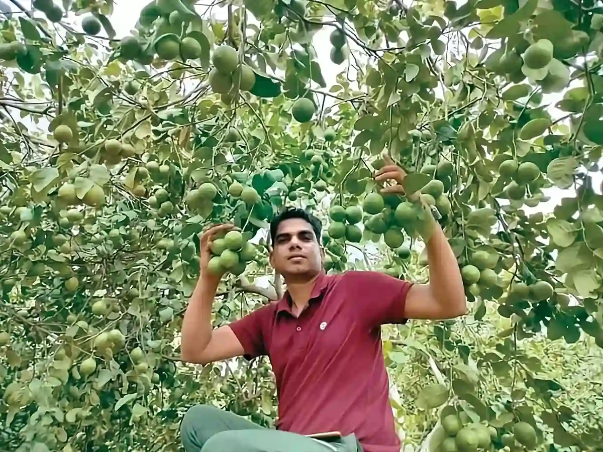 500 एकड़ में 20 करोड़ रुपये का वार्षिक टर्नओवर