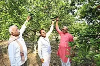 10 एकड़ में रसायन-मुक्त खेती और मक्खन जैसी मिट्टी