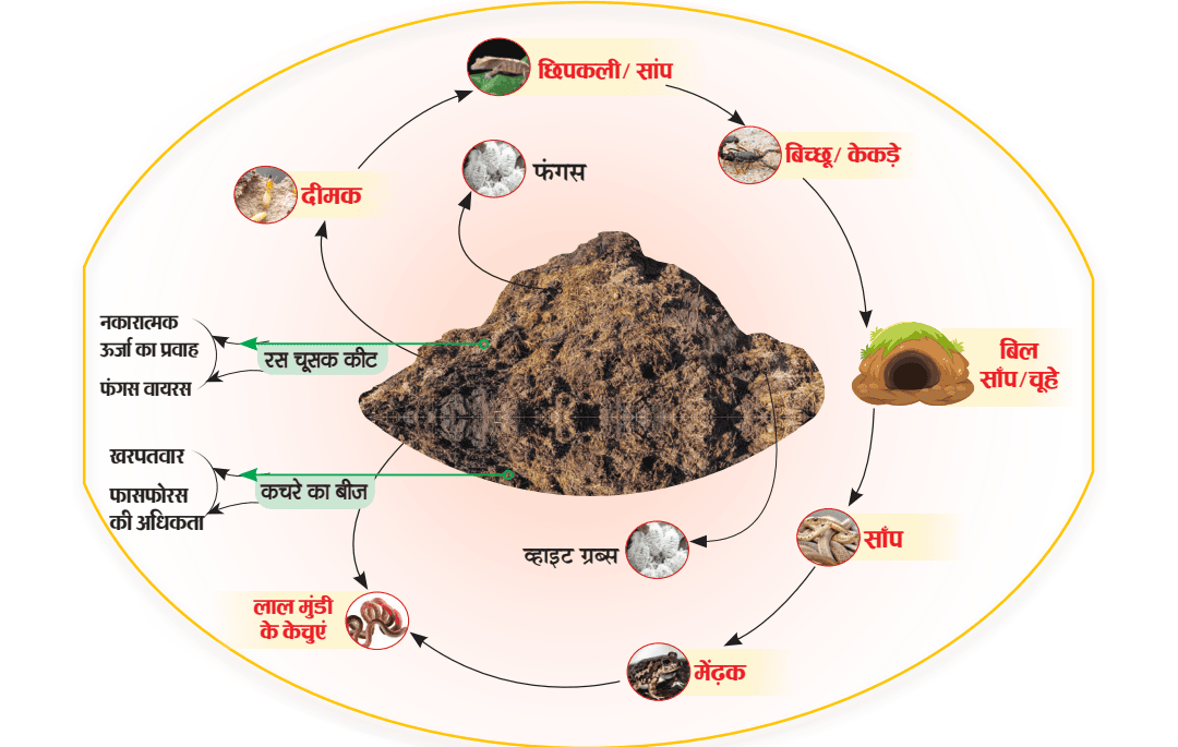 घूरे के गोबर की ऊर्जा
