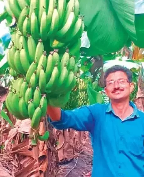 किसान की सफलता कहानी