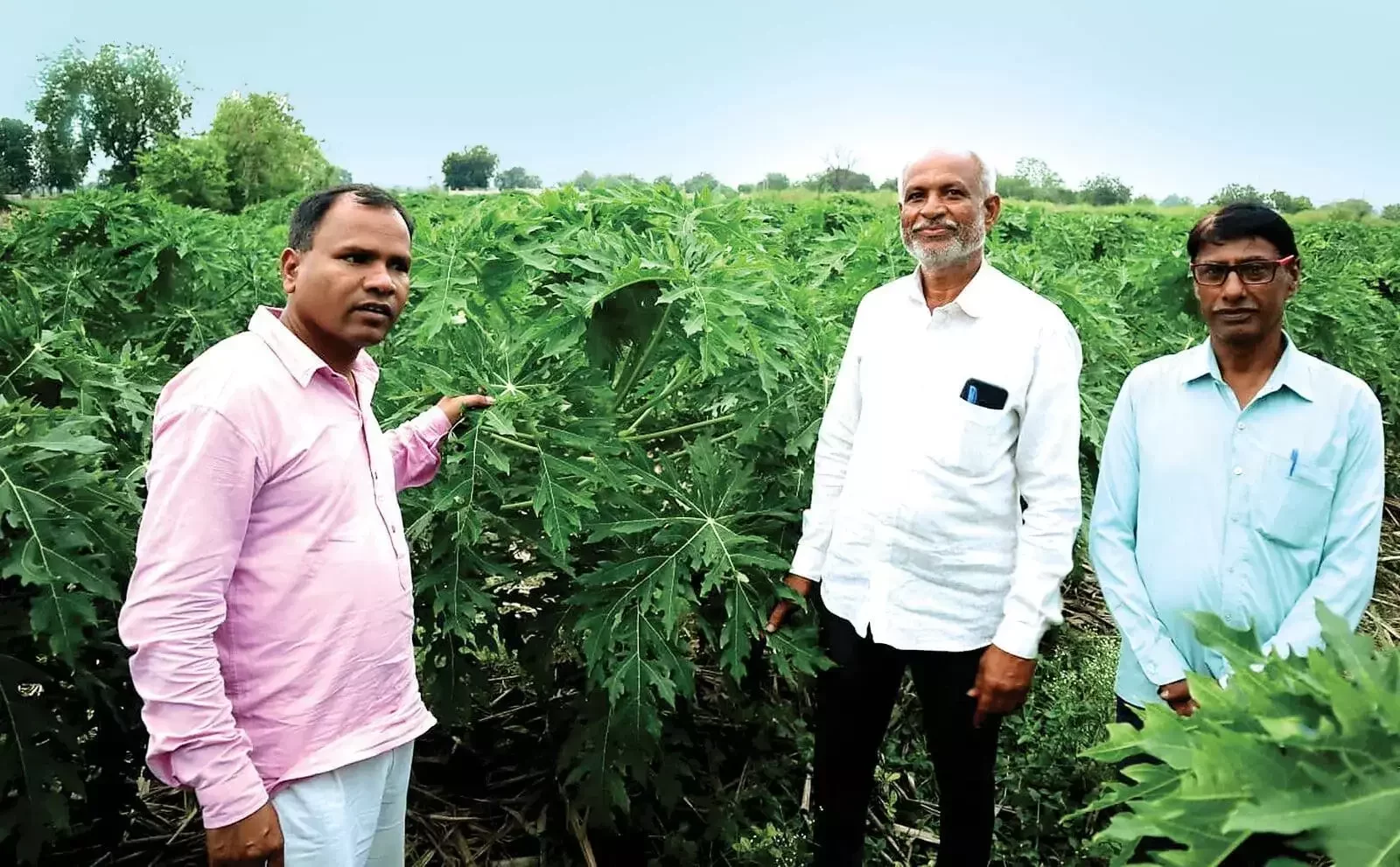 किसान की सफलता कहानी