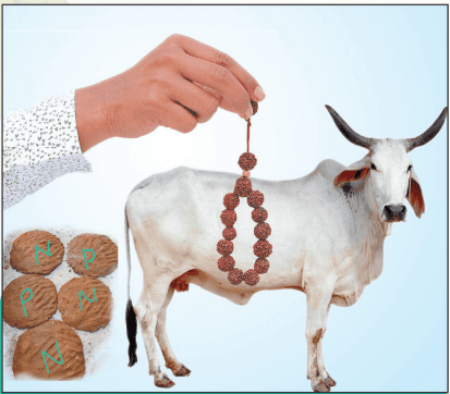 अग्निहोत्र प्रक्रिया चरण 1