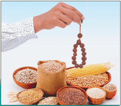 अग्निहोत्र प्रक्रिया चरण 4