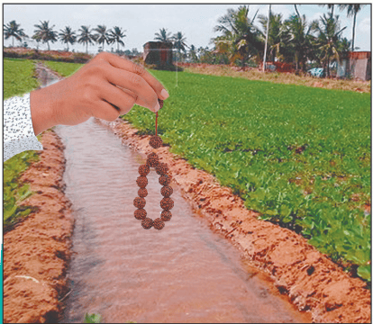 अग्निहोत्र प्रक्रिया चरण 5